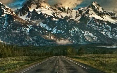 Unlocking the Power of a Wyoming LLC: Privacy, Cost Savings, and Superior Asset Protection